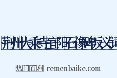 荆州大乘寺宜阳石像碑反义词是什么意思的图片